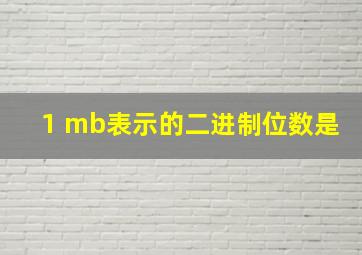 1 mb表示的二进制位数是